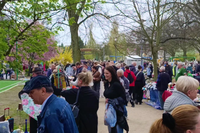 Pchli targ na Pogodnie