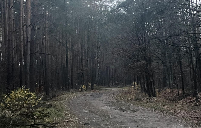 "Płakał nad tym psem". Damian zastawiał pułapki na leśną zwierzynę. Kundelek umierał w męczarniach