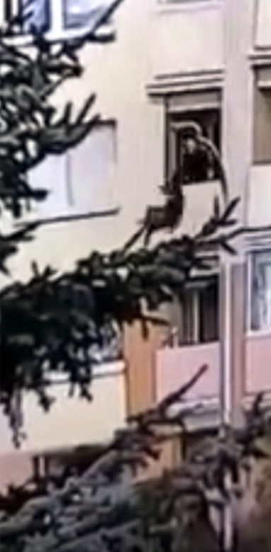 Wnuczek wyrzucił babcię z balkonu, nie pójdzie do więzienia