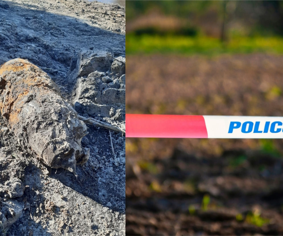 Pracownicy przecierali oczy ze zdumienia, gdy to zobaczyli! Wezwano policję 