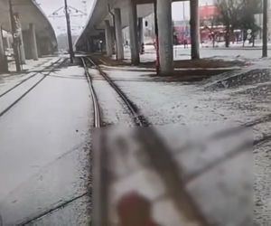 Obraziła się na motorniczego i zablokowała ruch! Usiadła na torach, wstała i zaczęła iść przed tramwajem