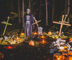 Tony dyniowych dekoracji i straszydła, czyli październikowe atrakcje w JuraParku w Solcu Kujawskim