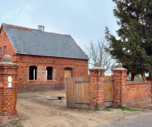 metamorfoza siedliska