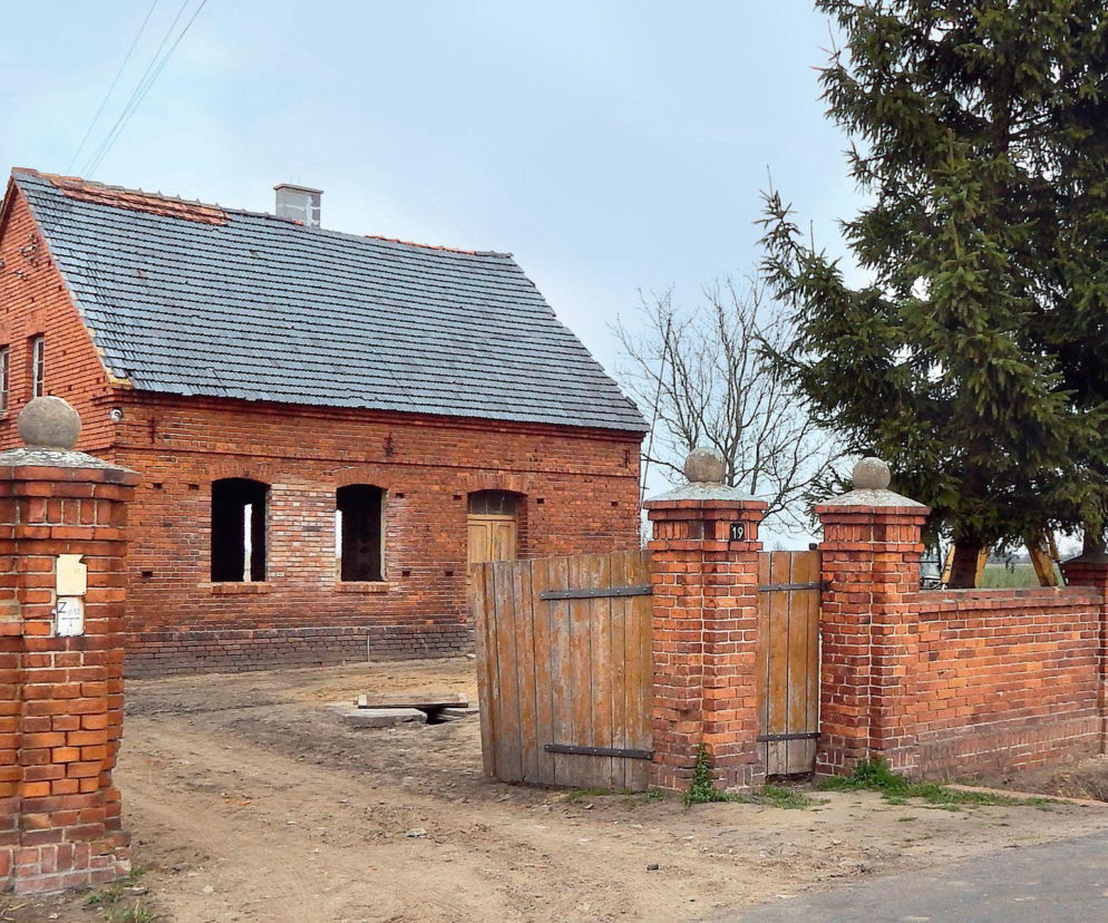 metamorfoza siedliska