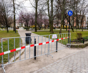 Dostali mandat za siedzenie w aucie 