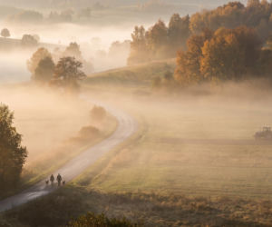 Weekend pod znakiem wyżu i lokalnych mgieł. Gdzie spadnie deszcz?