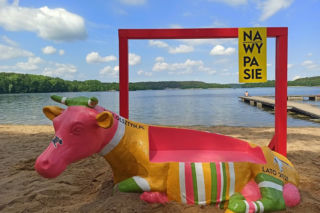 Olsztyn. Nowa atrakcja w mieście. Można zrobić sobie zdjęcie z RÓŻOWĄ KROWĄ! [ZDJĘCIA]