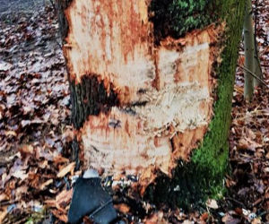 Wypadek w Pędzwie - BMW zmasakrowane