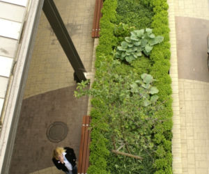 Centrum handlowe Skorosze, Warszawa