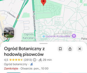 Skandal w Google Maps. Ktoś zmienił nazwy znanych miejsc w Polsce