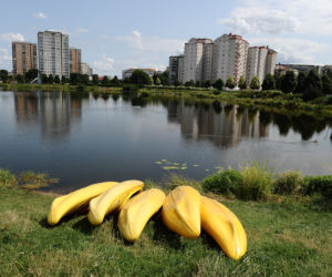 Darmowe kajaki na Pradze