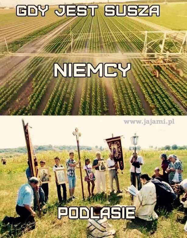 Memy o Podlasiu 2019. Prawdziwy HIT internetu