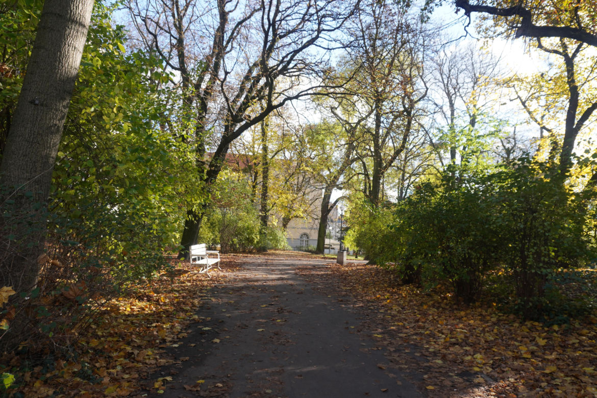 Park Wilsona jesienią