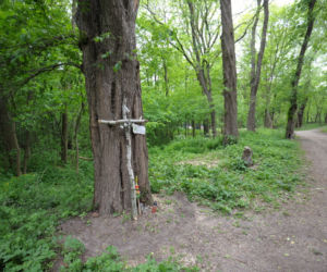 Śmierć Agaty na życzenie