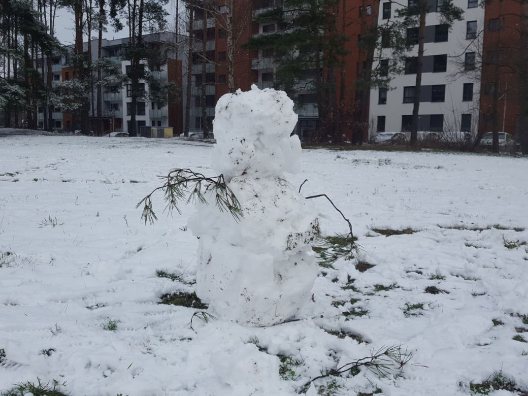Pierwszy zimowy dzień tej jesieni w Lesznie