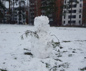 Pierwszy zimowy dzień tej jesieni w Lesznie