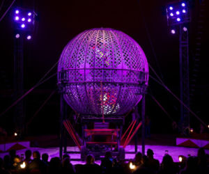 Festiwal w Cyrku Zalewski 2026. Oto zwycięzcy