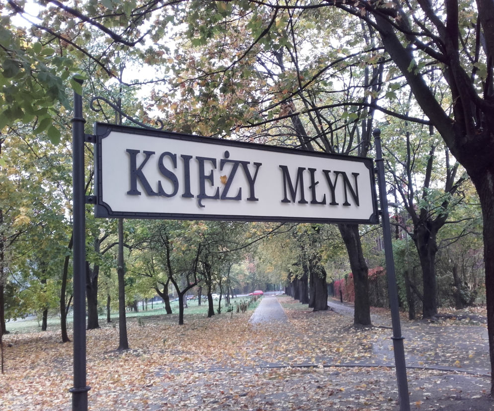Podczas prac na Księżym Młynie archeolodzy odkopali fragment kręgu z końca XIX wieku