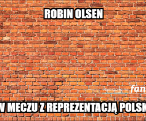 Memy po meczu Polska - Szwecja