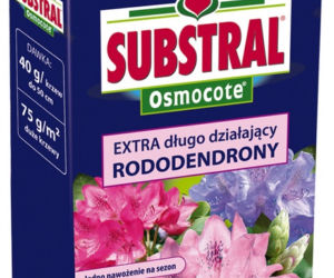 Nawozy do rododendronów