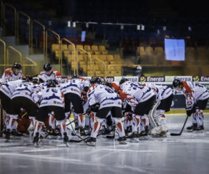 KH Energa Toruń - Ciarko STS Sanok 5:1 - zdjęcia z Tor-Toru