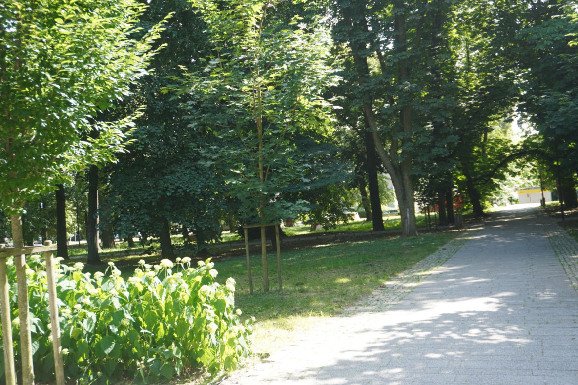 Park Miejski w Sandomierzu