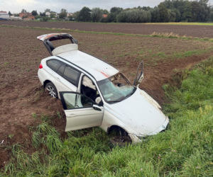 Sarna jak pocisk przebiła szybę auta i wpadła na twarz kierowcy. Pojazd dachował, serce 20-latka stanęło