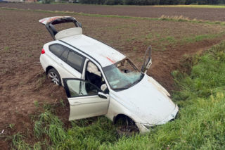 Sarna jak pocisk przebiła szybę auta i wpadła na twarz kierowcy. Pojazd dachował, serce 20-latka stanęło