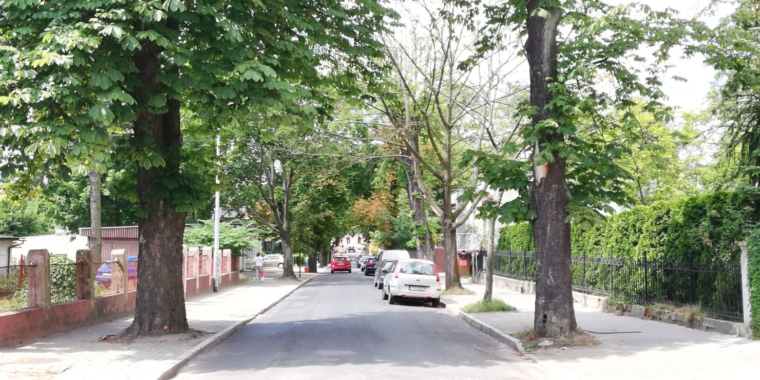 Oborniki Śląskie