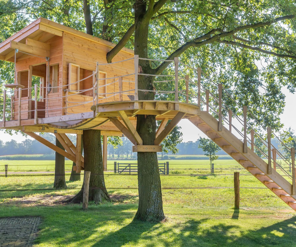 Domek na drzewie