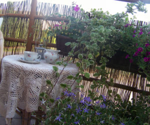 Konkursowy Balkon 2013 zdjecie nr 2