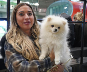 Międzynarodowa Wystawa Psów Rasowych Duo Cacib Kielce 2025