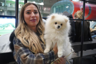 Międzynarodowa Wystawa Psów Rasowych Duo Cacib Kielce 2025