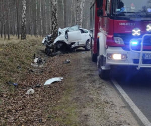 Groźny wypadek pod Bydgoszczą! Kierowca zakleszczony w aucie po uderzeniu w drzewo