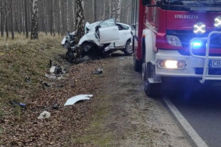 Groźny wypadek pod Bydgoszczą! Kierowca zakleszczony w aucie po uderzeniu w drzewo