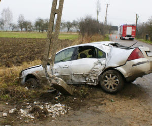 Pijany kierowca ściął słup elektryczny - prąd zabił 27 krów! [ZDJĘCIA]