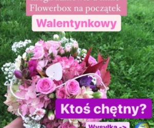 Justyna Żyła rozkręca biznes