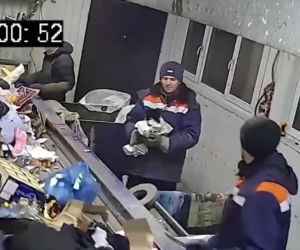 Kot został wiceministrem w Rosji!