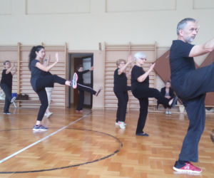Narodowy Dzień Sportu 2018 w Lublinie - Tai Chi