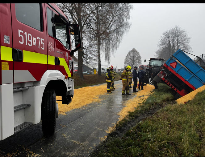 Deszcz kukurydzy pod Oświęcimiem. Droga została zasypana ziarnem