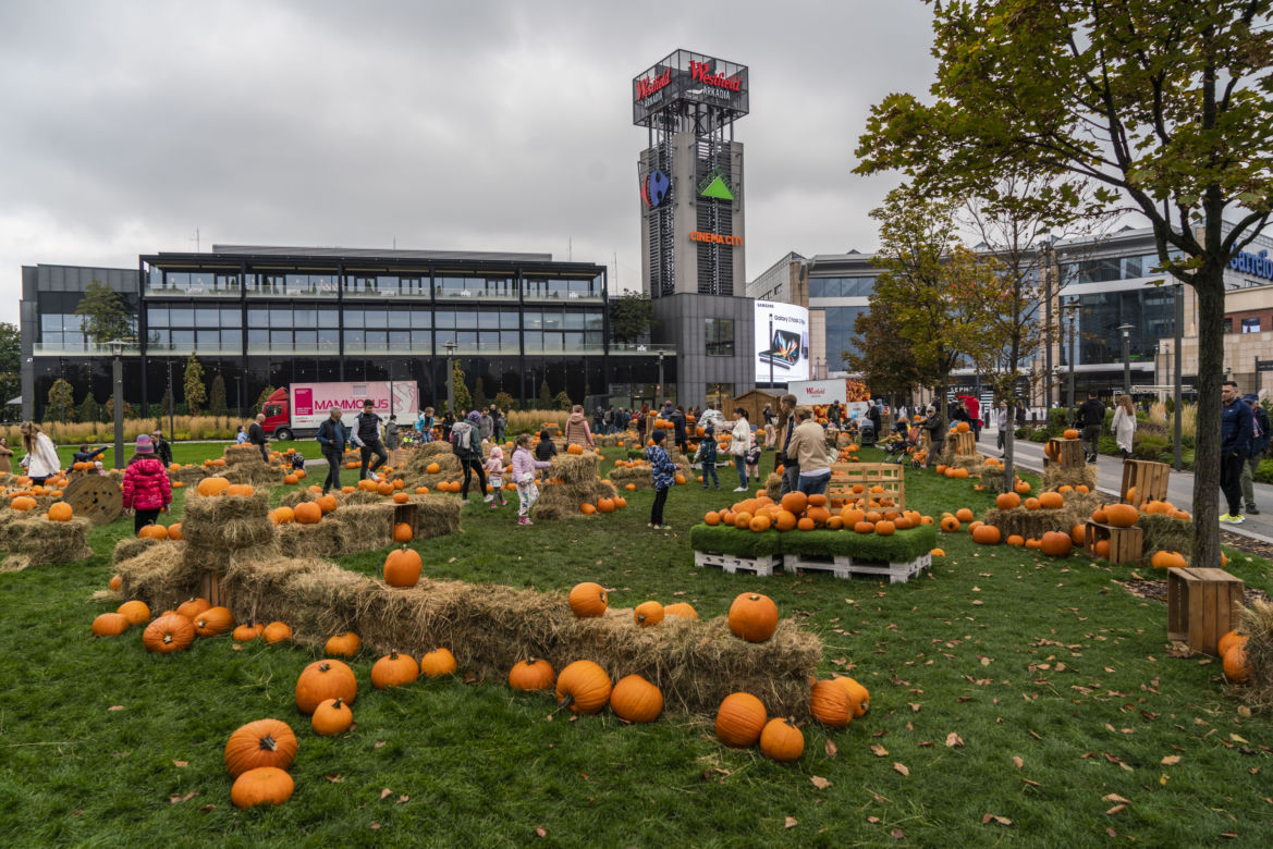 Farma Dyniowa przed galerią handlową Westfield Arkadia