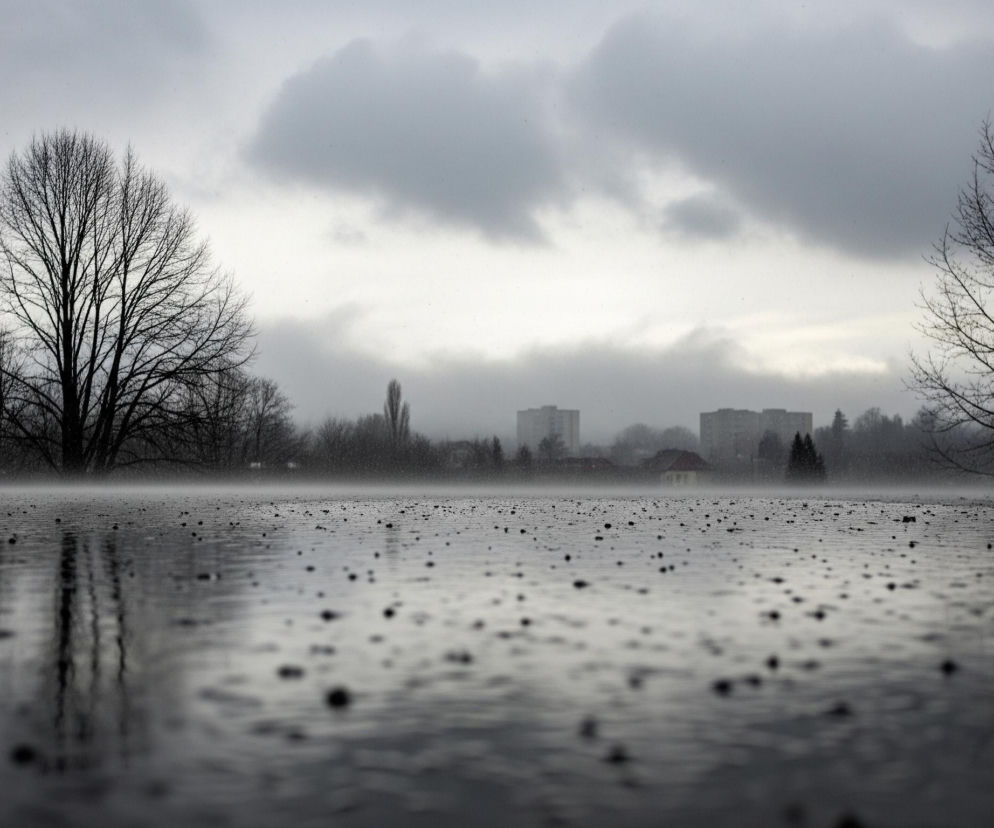 Mokry, ciemny, asfaltowy chodnik pokryty jest licznymi kroplami deszczu, które tworzą małe, nieregularne kręgi na jego powierzchni, rozciągające się od pierwszego planu w głąb obrazu. W oddali, na horyzoncie, widoczne są zarysy budynków mieszkalnych oraz drzew pozbawionych liści. Niebo jest pochmurne i szare, z widocznymi ciemniejszymi chmurami, a światło jest rozproszone i stonowane.