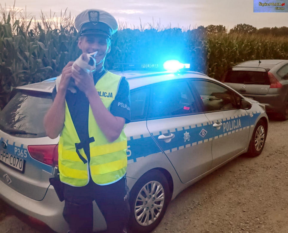 Policjant uratowal kota na wiślance