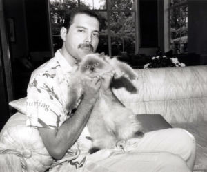 Freddie Mercury