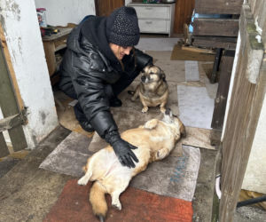 Joanna Krupa odwiedza schronisko dla zwierząt