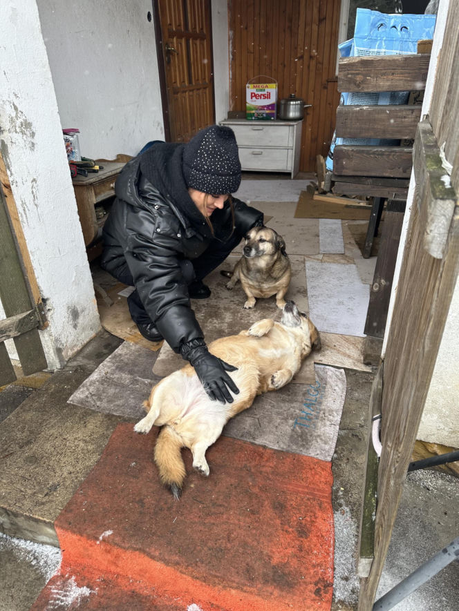 Joanna Krupa odwiedza schronisko dla zwierząt