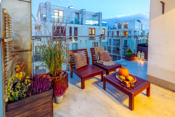 Murator Ogroduje, realizacje