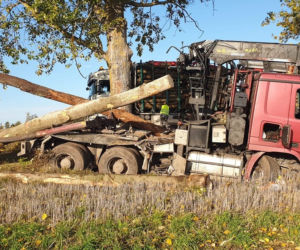 Olbrzymie kłody zablokowały drogę wojewódzką 163