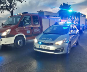 Koszmarny wypadek na DK 10! Auto przewożące lodówki wylądowało w rowie! [ZDJĘCIA] 