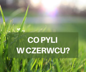 Co pyli w czerwcu 2021? Jakie pyłki wywołują alergie w czerwcu? [LISTA ALERGENÓW]